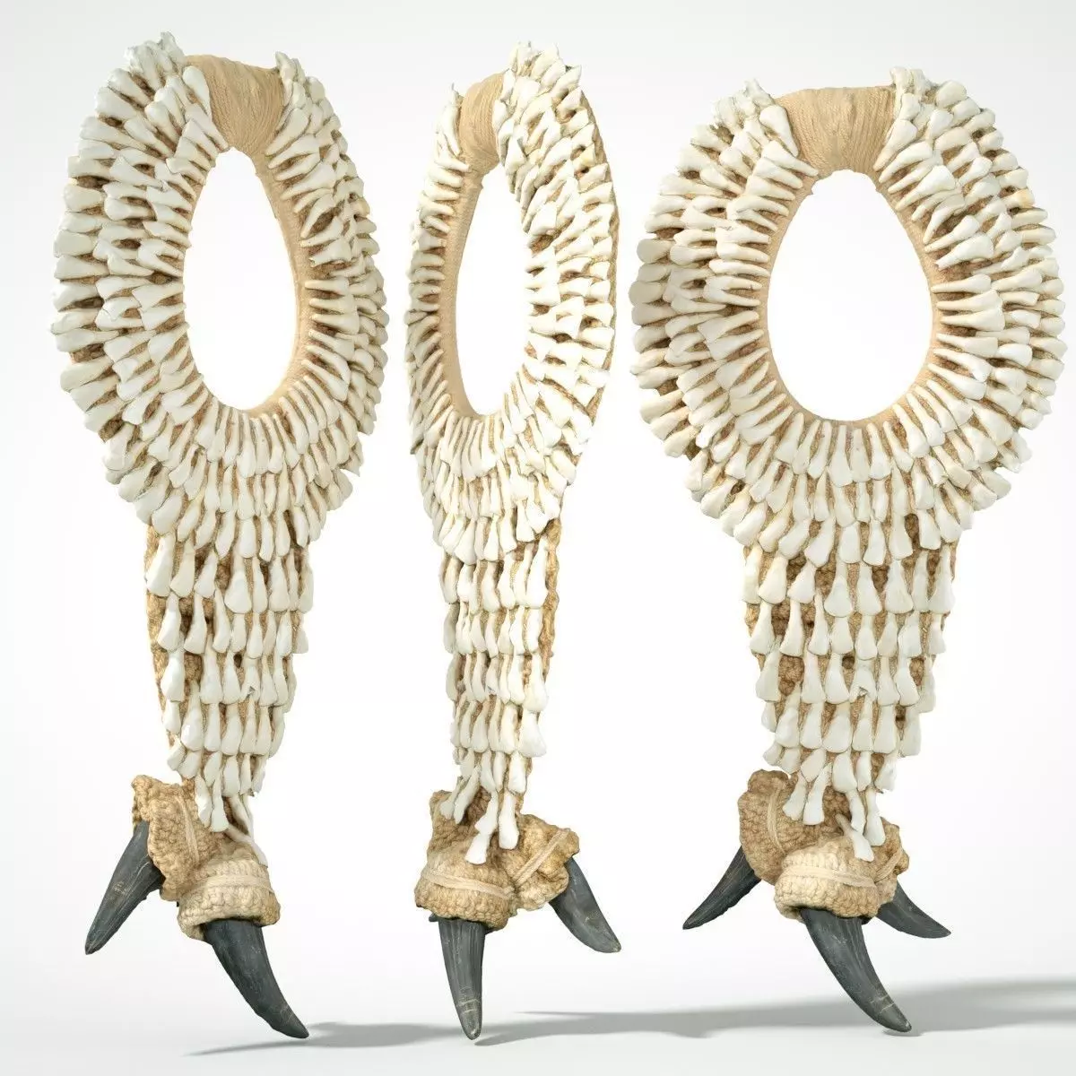 Tooth Necklace Low-poly 3D model_0