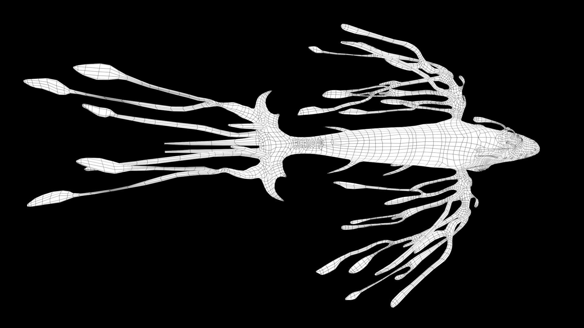 Space Whale Low-poly 3D model_5