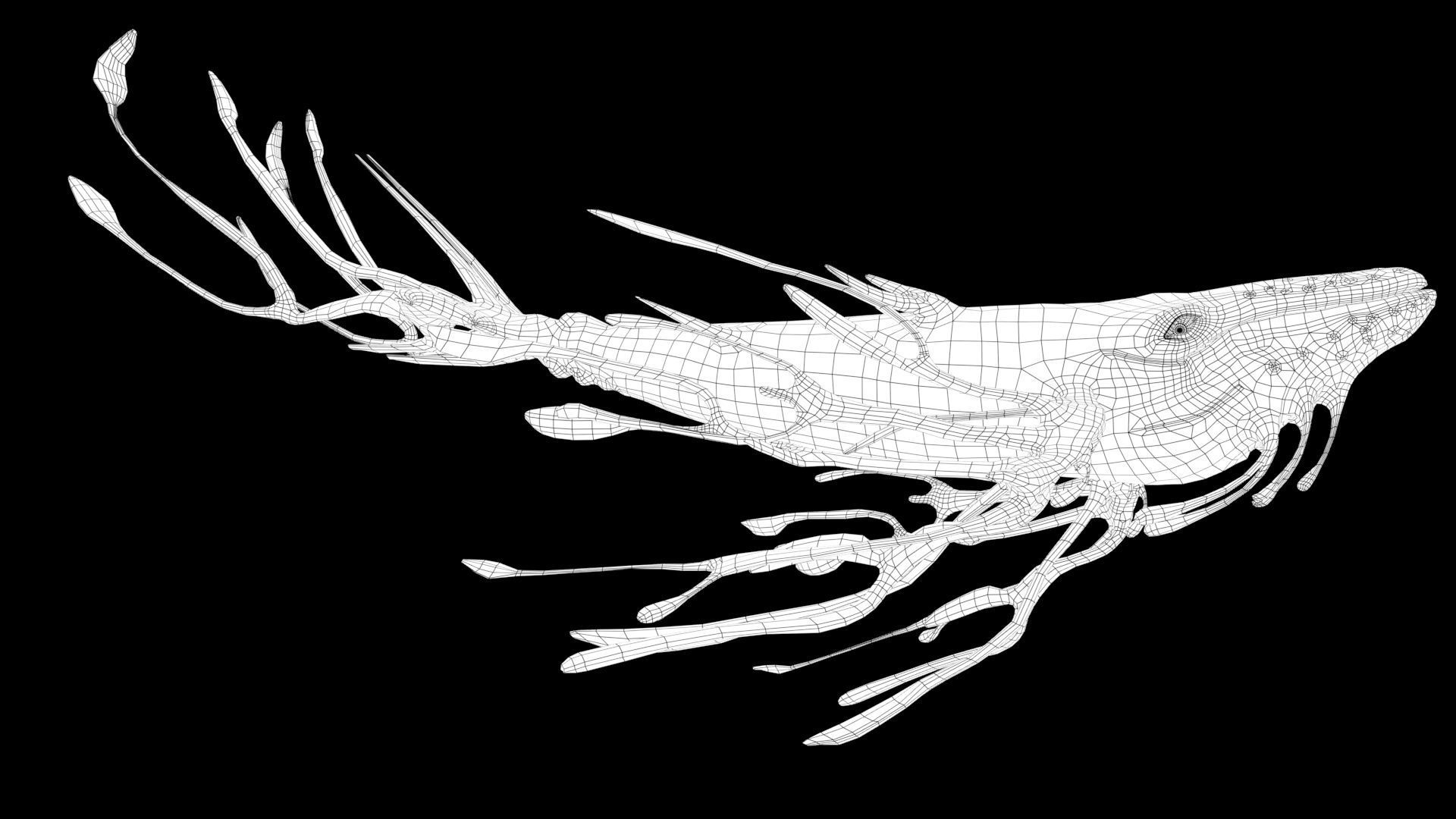 Space Whale Low-poly 3D model_4