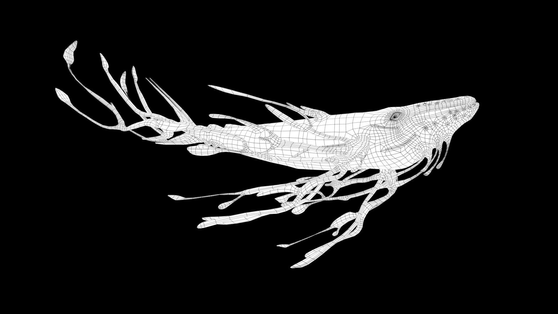 Space Whale Low-poly 3D model_3