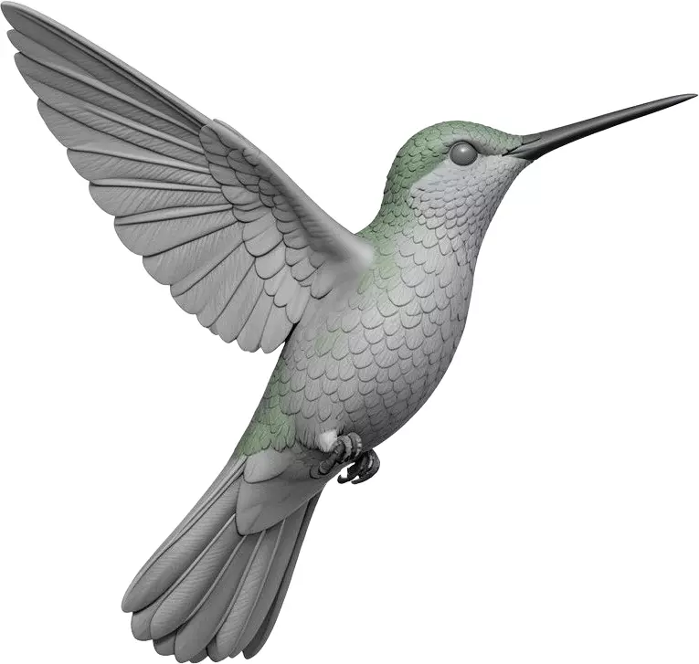 Realistic Hummingbird STL 3D Printable Bird Statue 3D print model