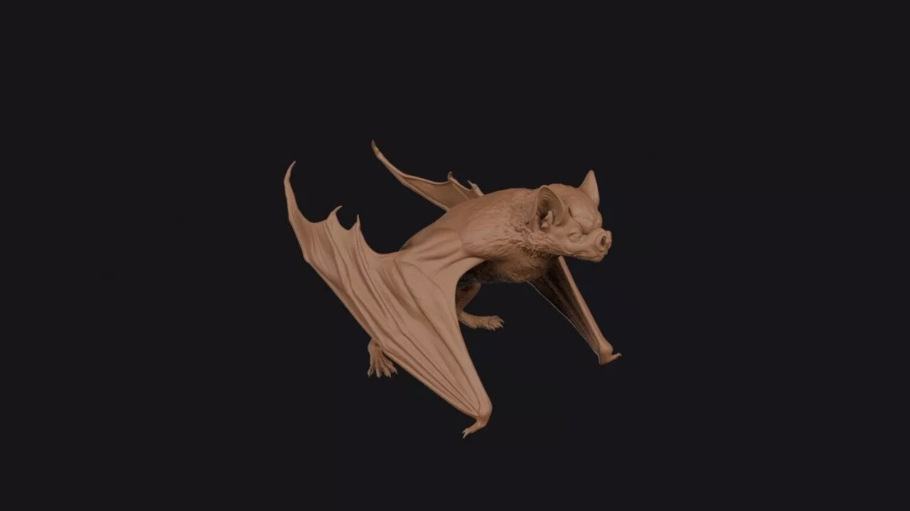vampire bat 3D print model