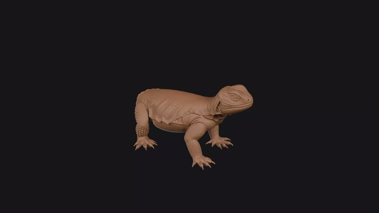 uromastyx 3D print model