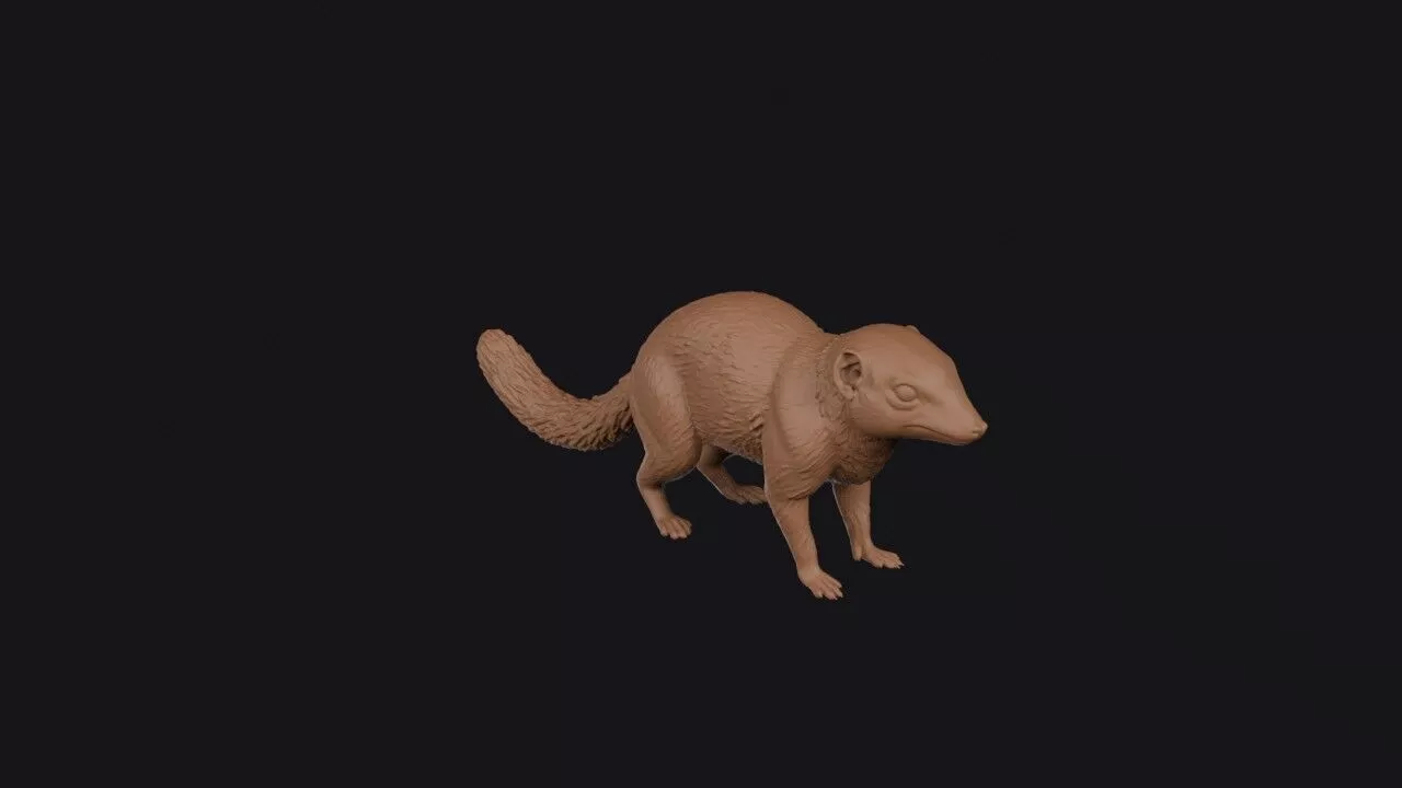 tree shrew 3D print model