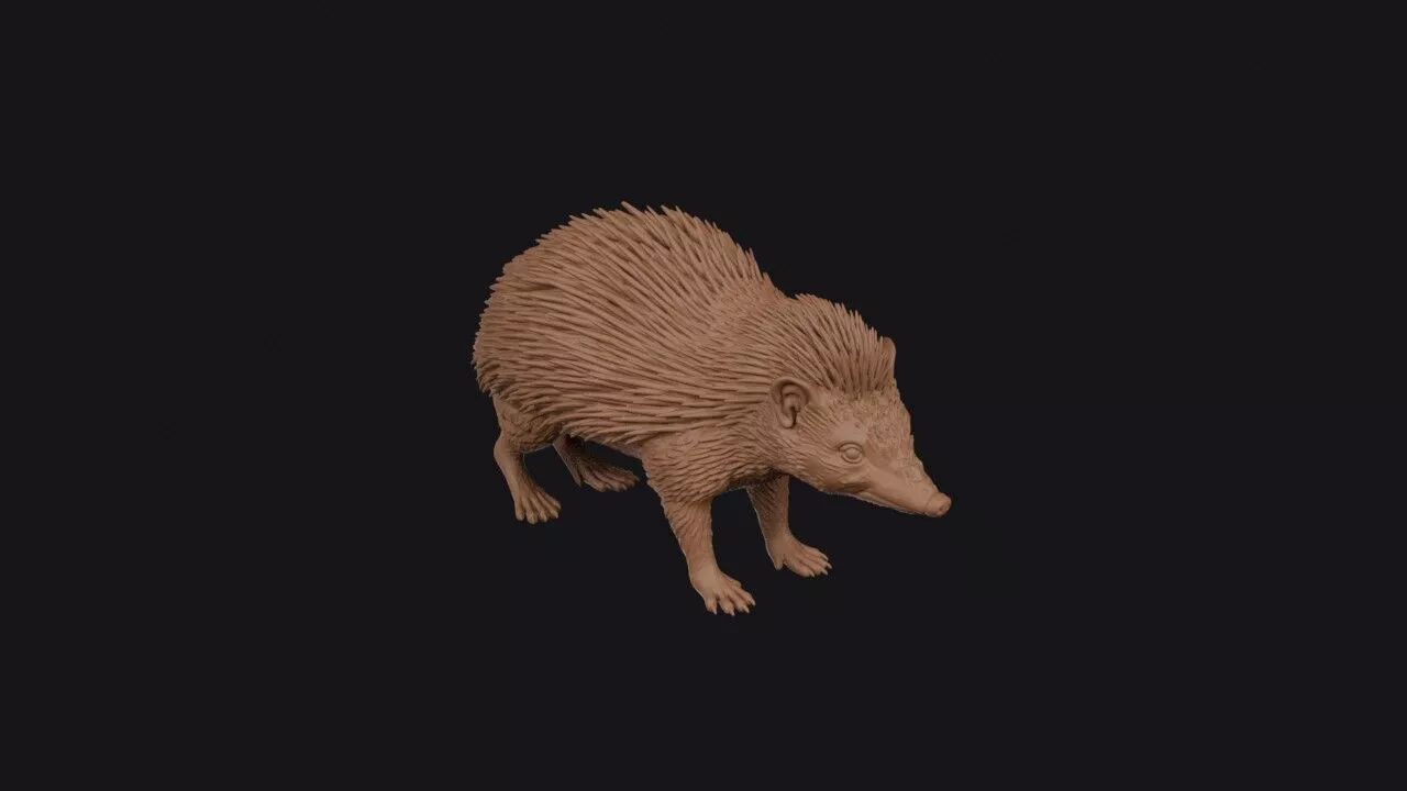 tenrec 3D print model