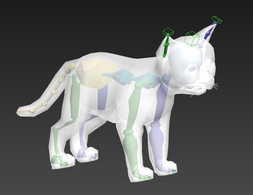 Cat Tigre Low-poly 3D model_12