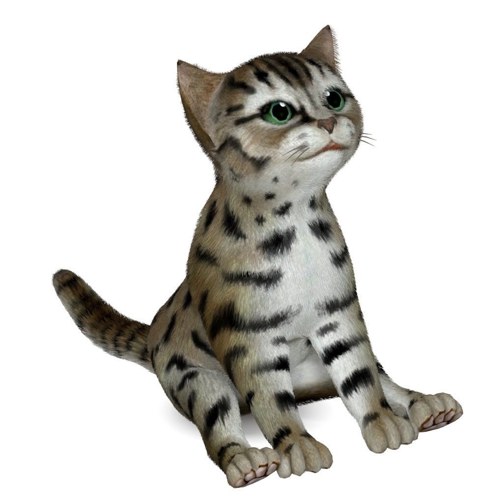 Cat Tigre Low-poly 3D model_9