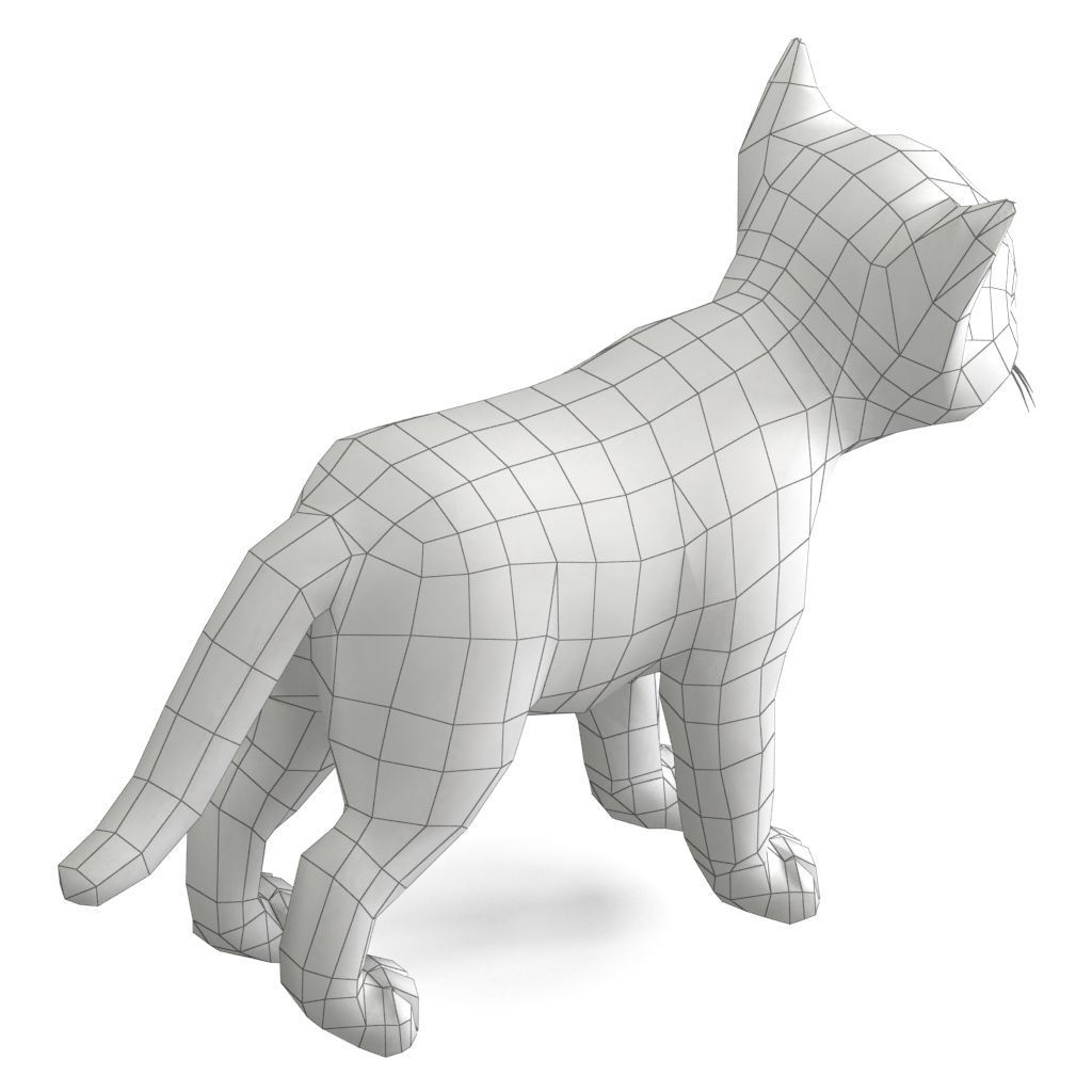 Cat Tigre Low-poly 3D model_11
