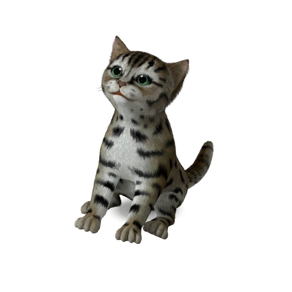 Cat Tigre Low-poly 3D model_8