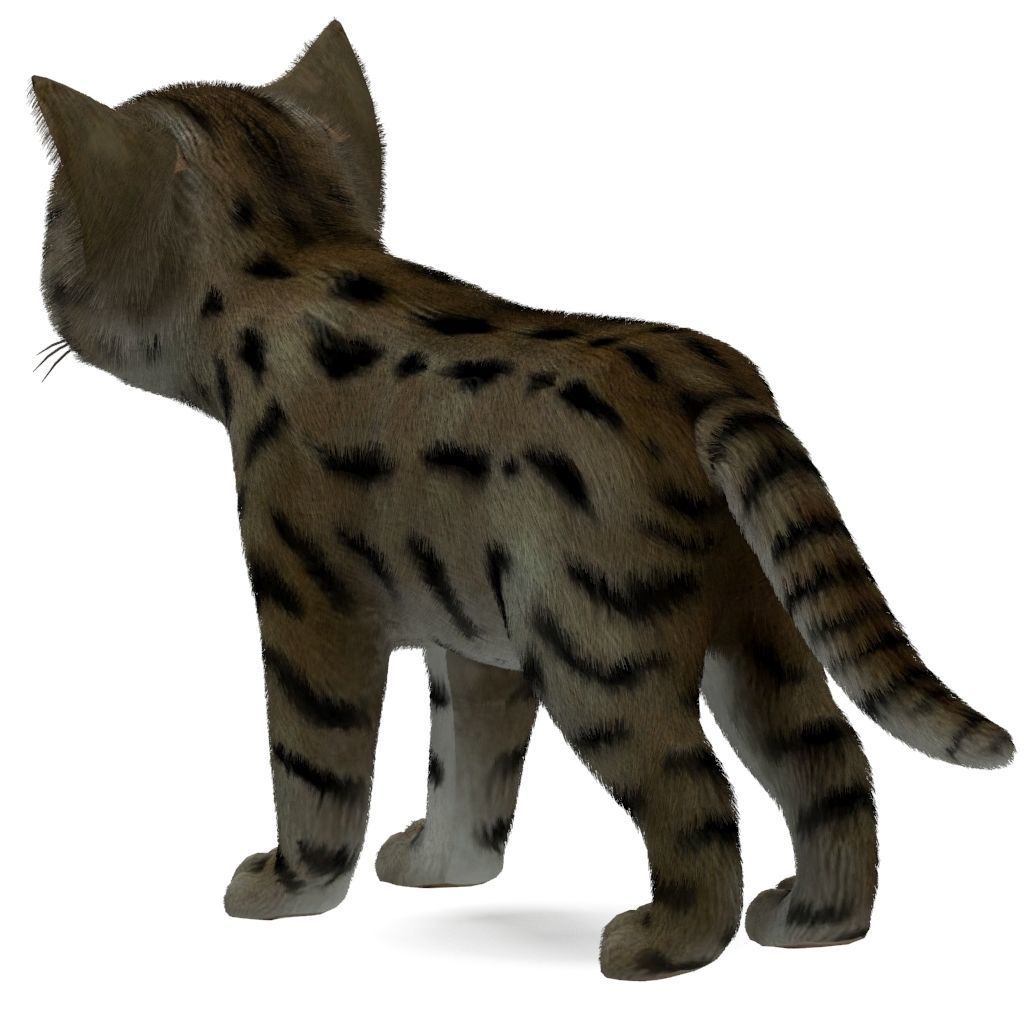 Cat Tigre Low-poly 3D model_1