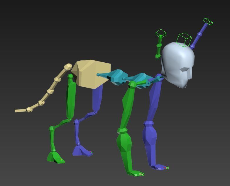 Cat Tigre Low-poly 3D model_13