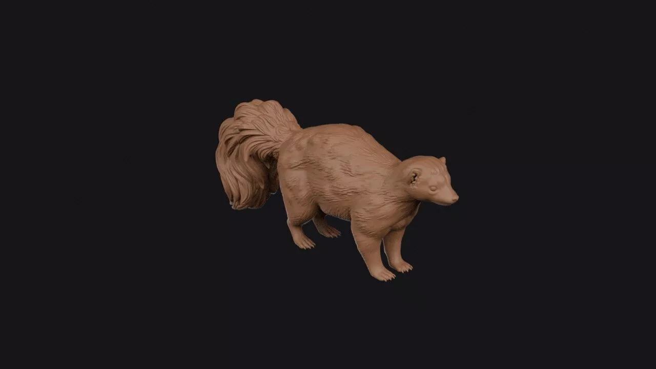 spotted skunk 3D print model