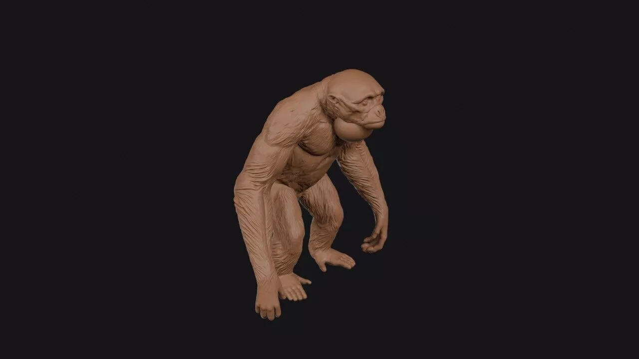 siamang 3D print model