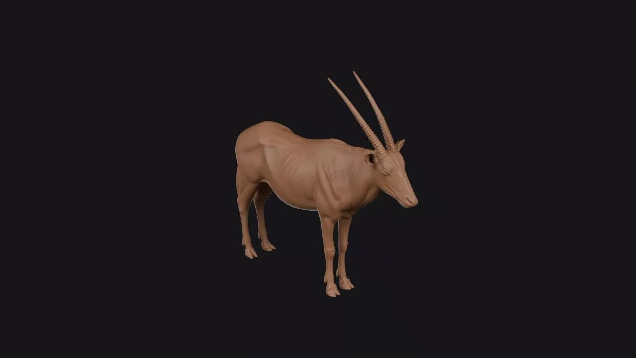 Oryx 3D Model 3D print model