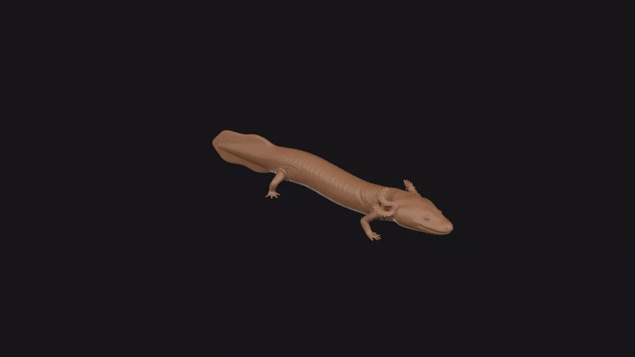 Olm 3D Model 3D print model