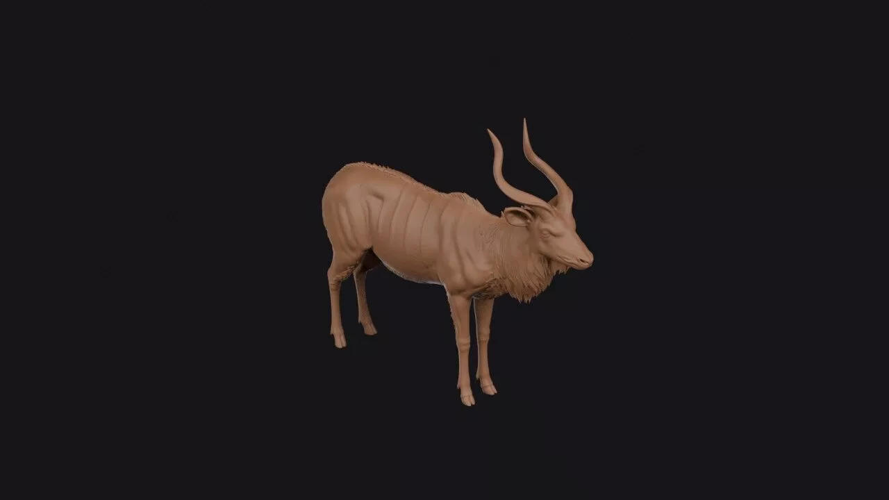 nyala 3D print model