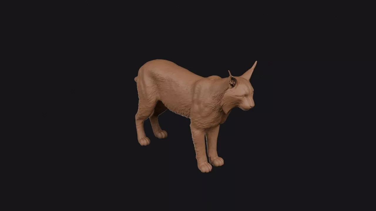 Lynx 3D Model 3D print model