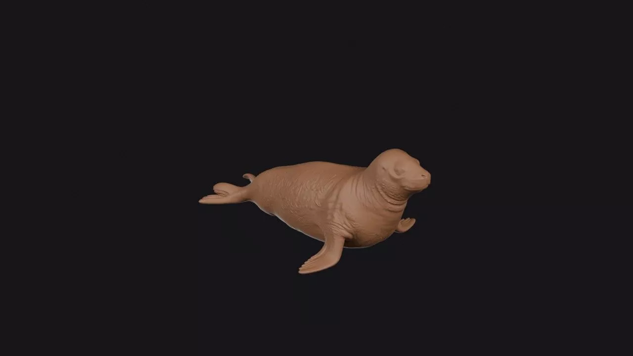 leopard seal 3D print model