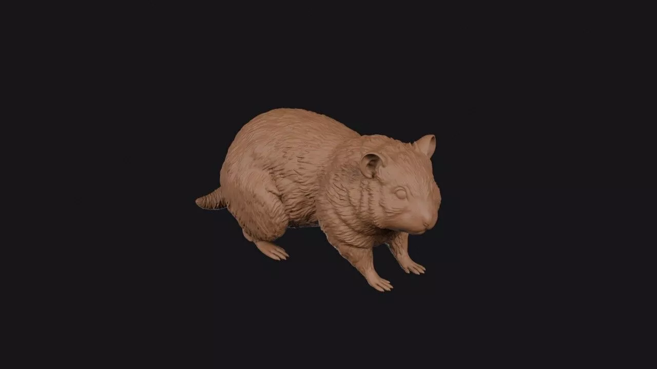 hamster 3D print model