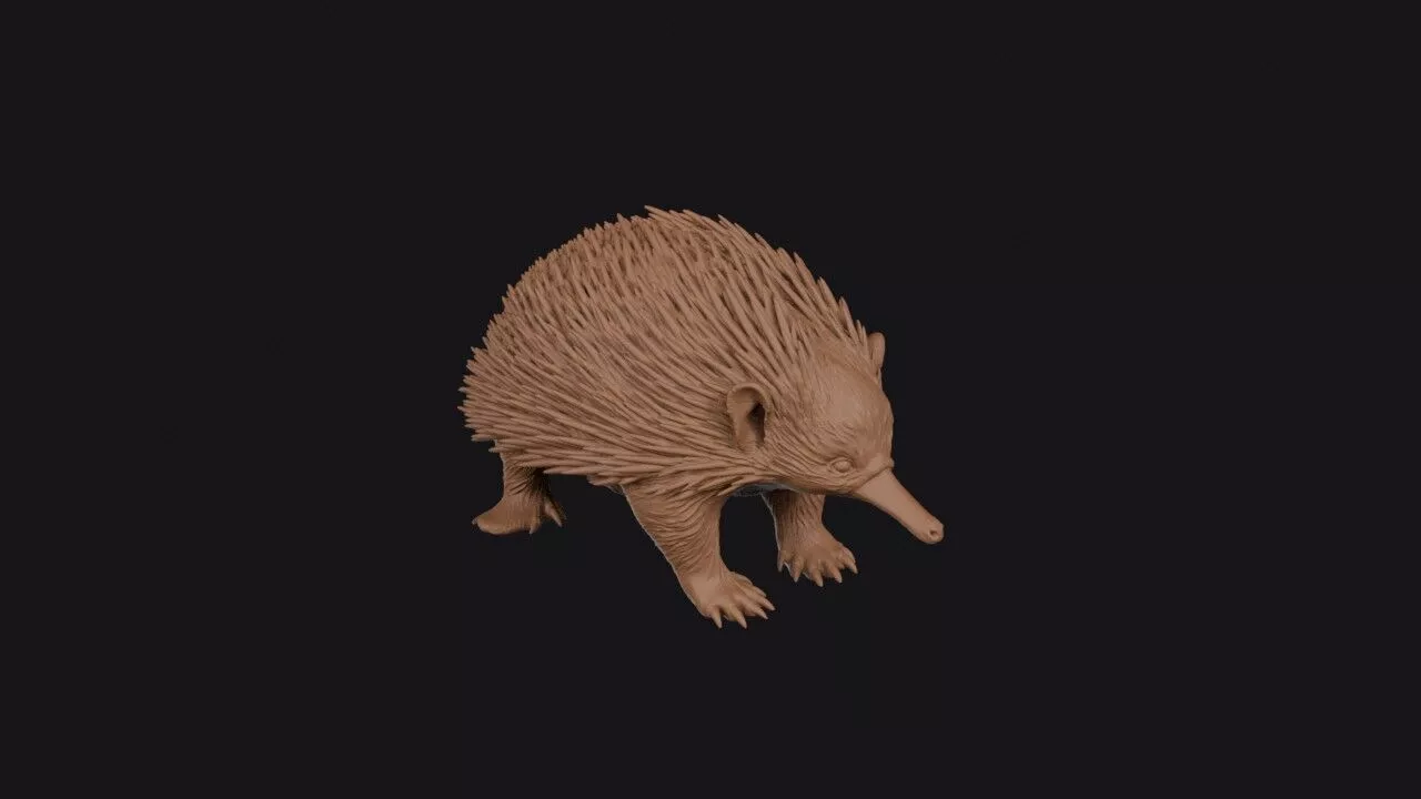 echidna 3D print model