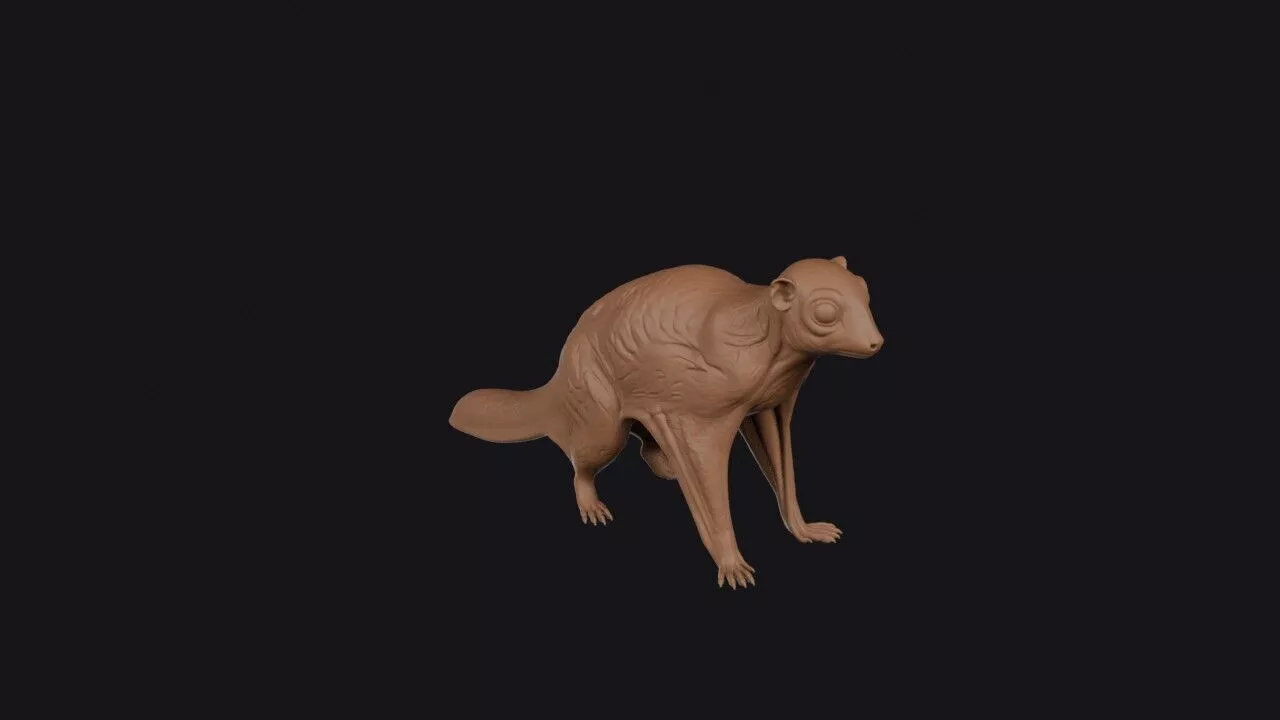 colugo 3D print model