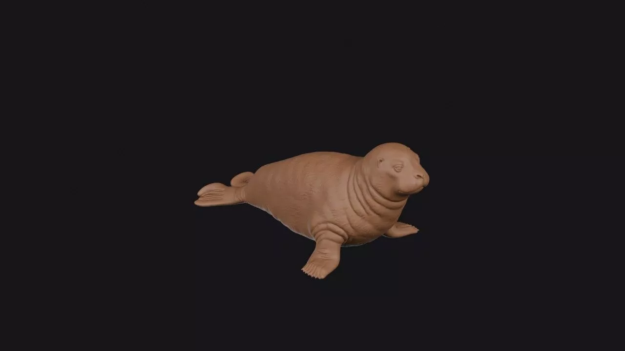 bearded seal 3D print model