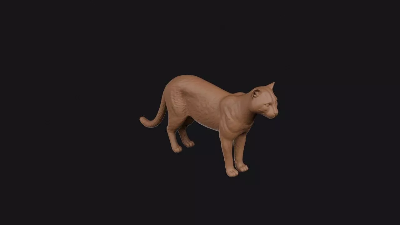 bay cat 3D print model