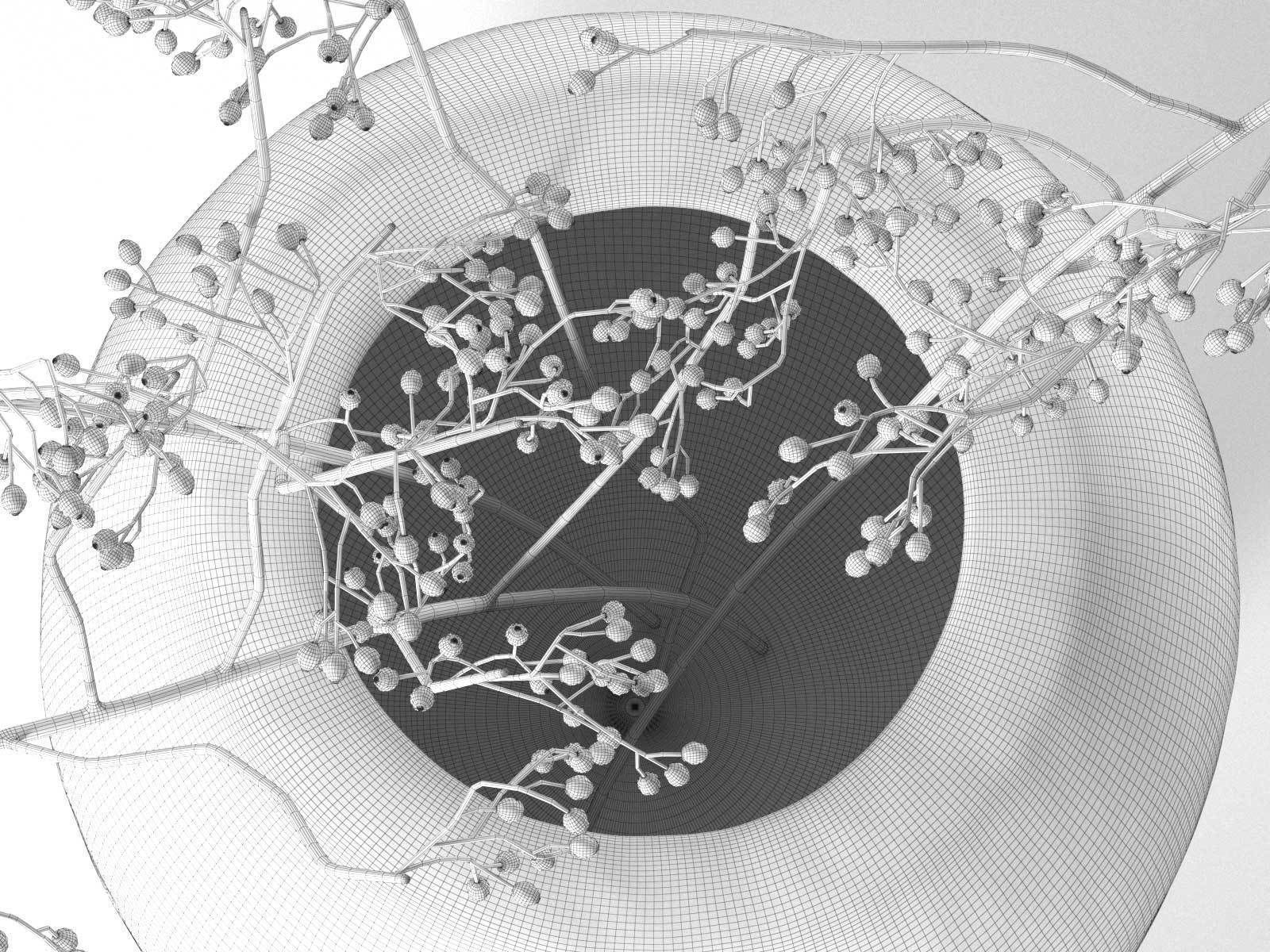 Vase with Rose Hip 3D model_2