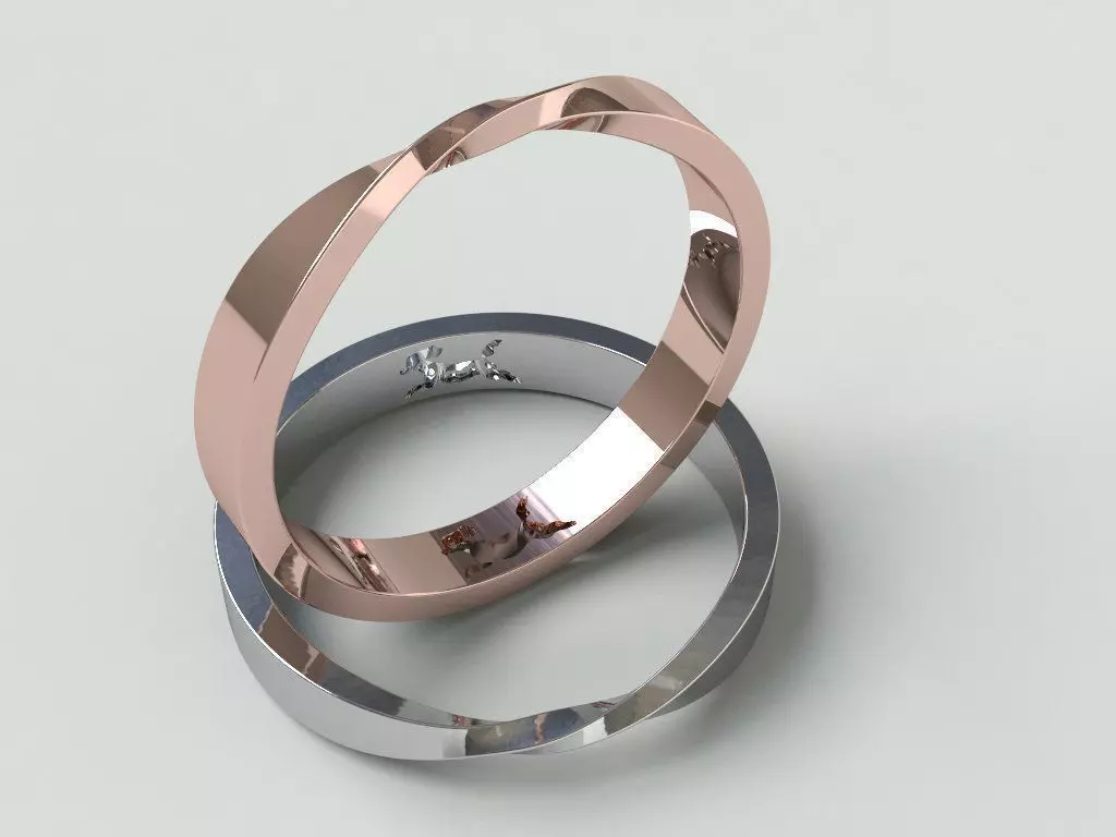Ringmodel112 - Dog ring -Mobius band 3D print model