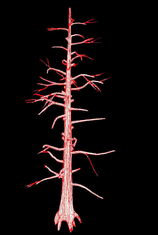 Dead Pine Tree - PBR - Textured Low-poly 3D model_4