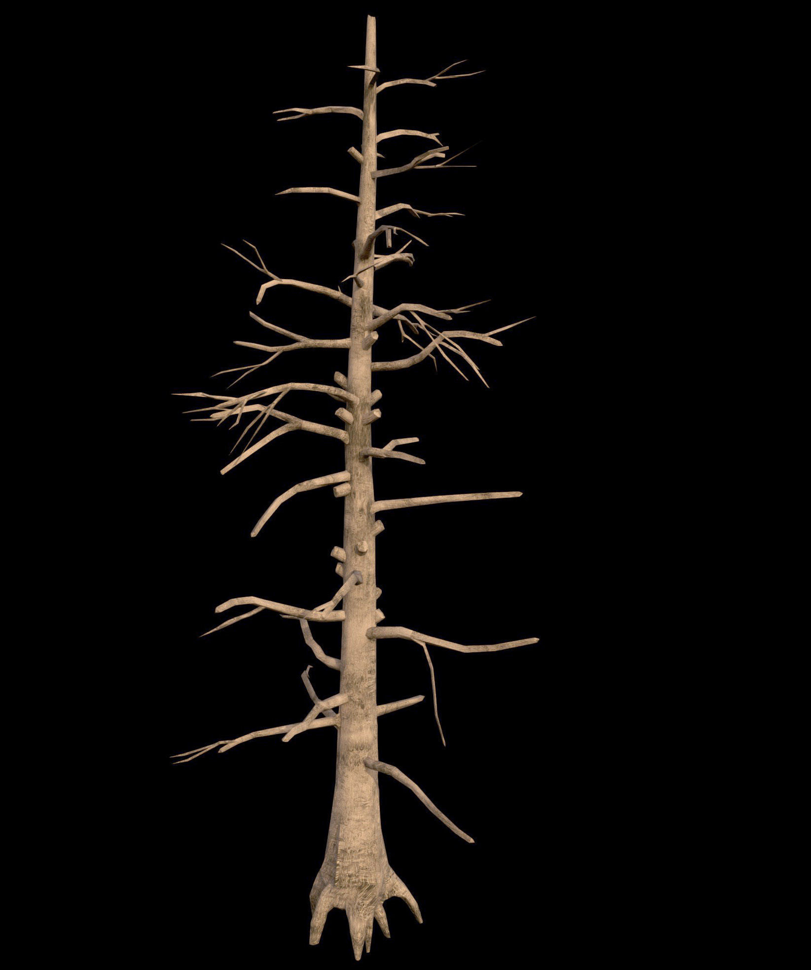 Dead Pine Tree - PBR - Textured Low-poly 3D model_1