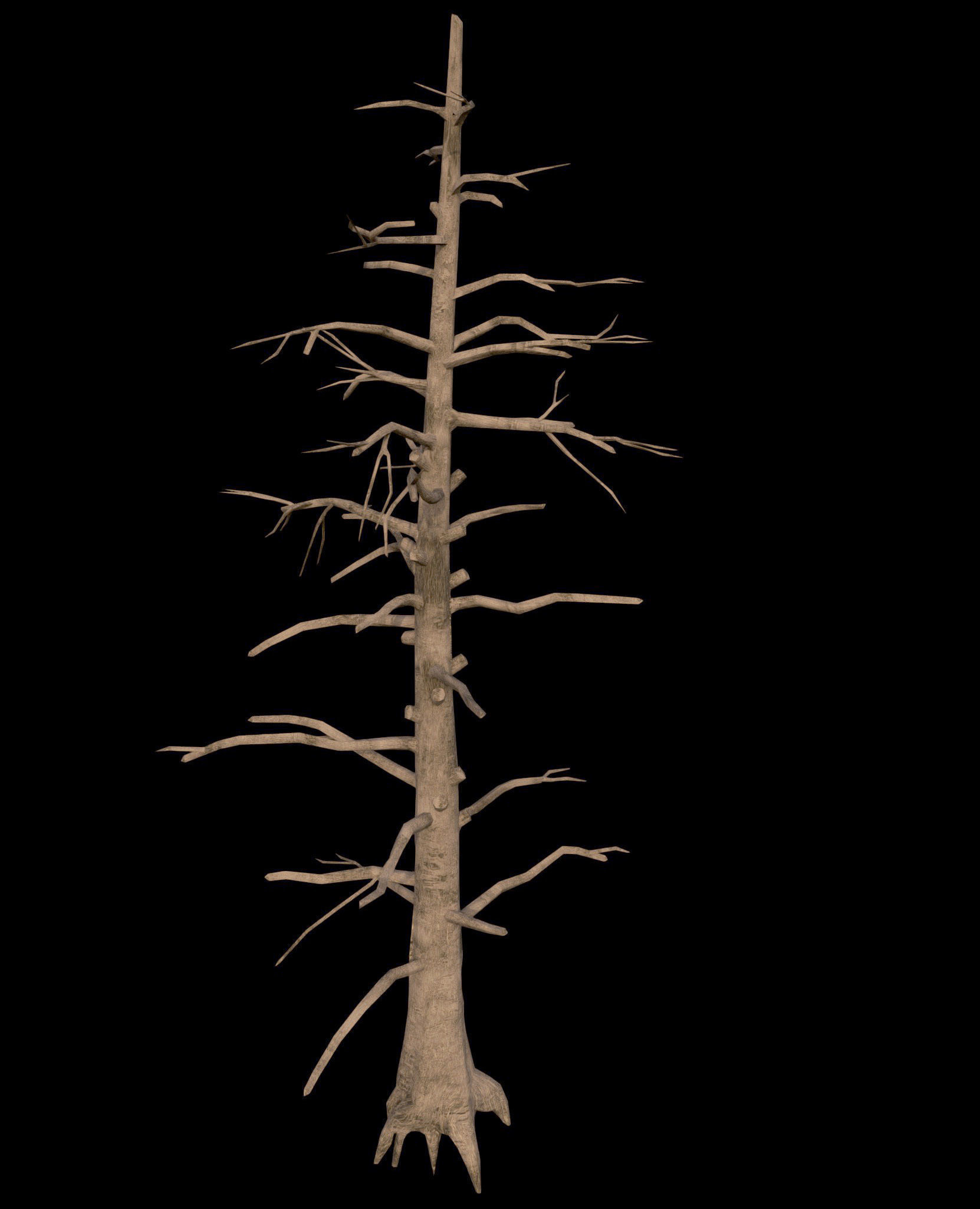 Dead Pine Tree - PBR - Textured Low-poly 3D model_2