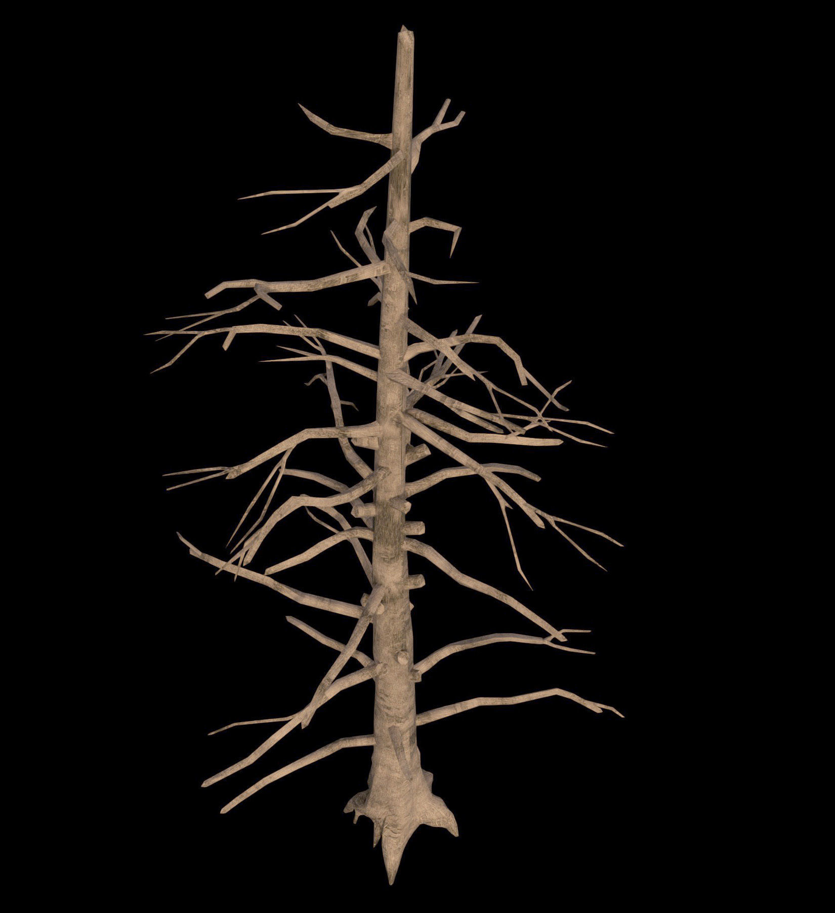 Dead Pine Tree - PBR - Textured Low-poly 3D model_3