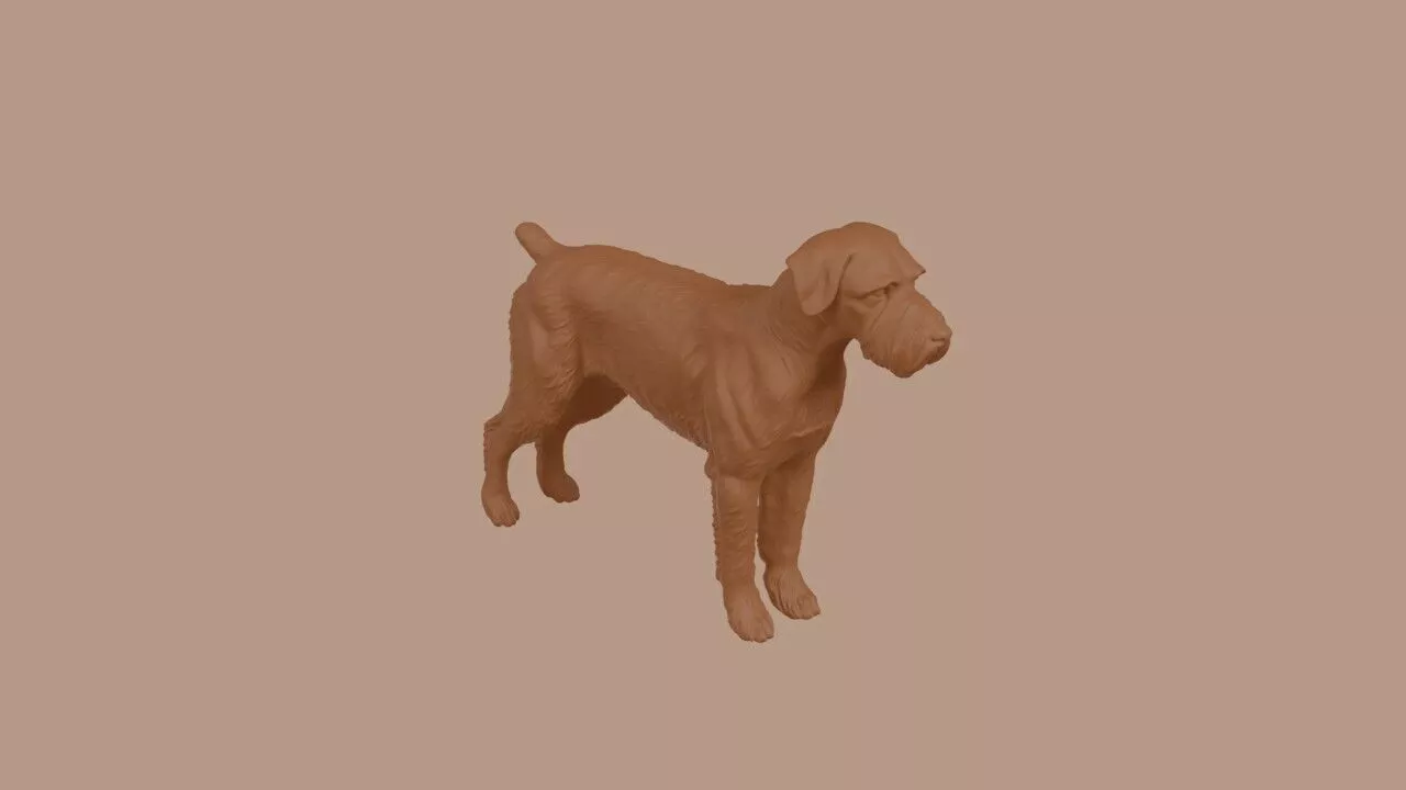 Giant Schnauzer dog 3D print model