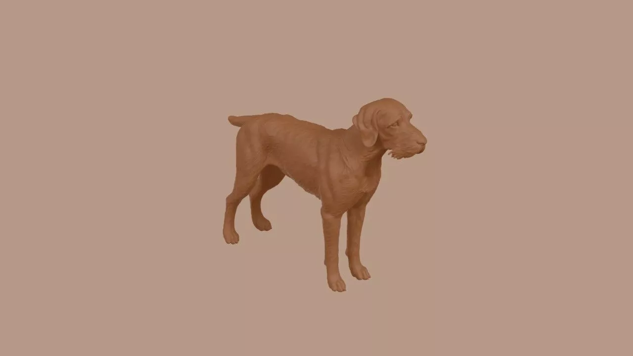 German Wirehaired Pointer dog 3D print model