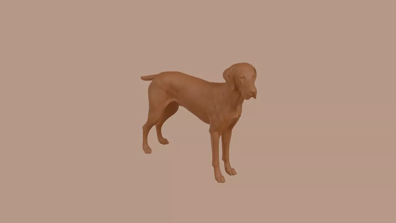 German Shorthaired Pointer dog 3D print model