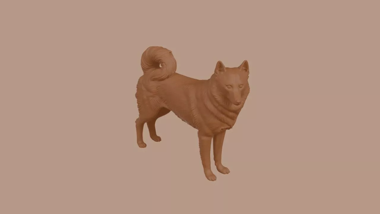Finnish Spitz dog 3D print model
