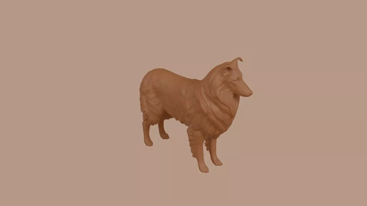 Collie dog 3D print model