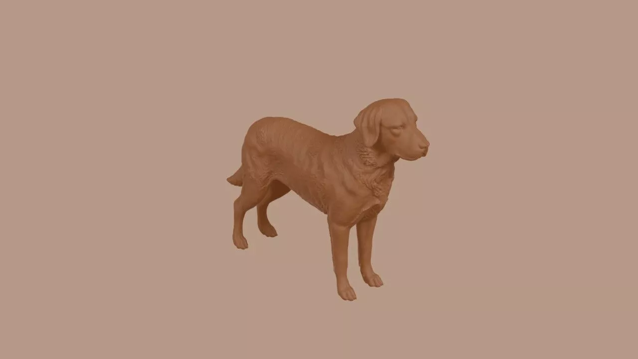 Chesapeake Bay Retriever dog 3D print model