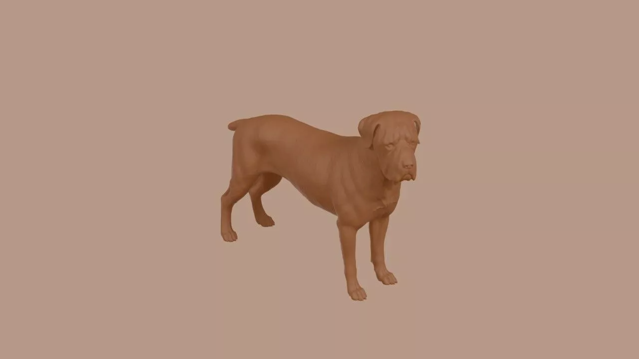 Cane Corso dog 3D print model