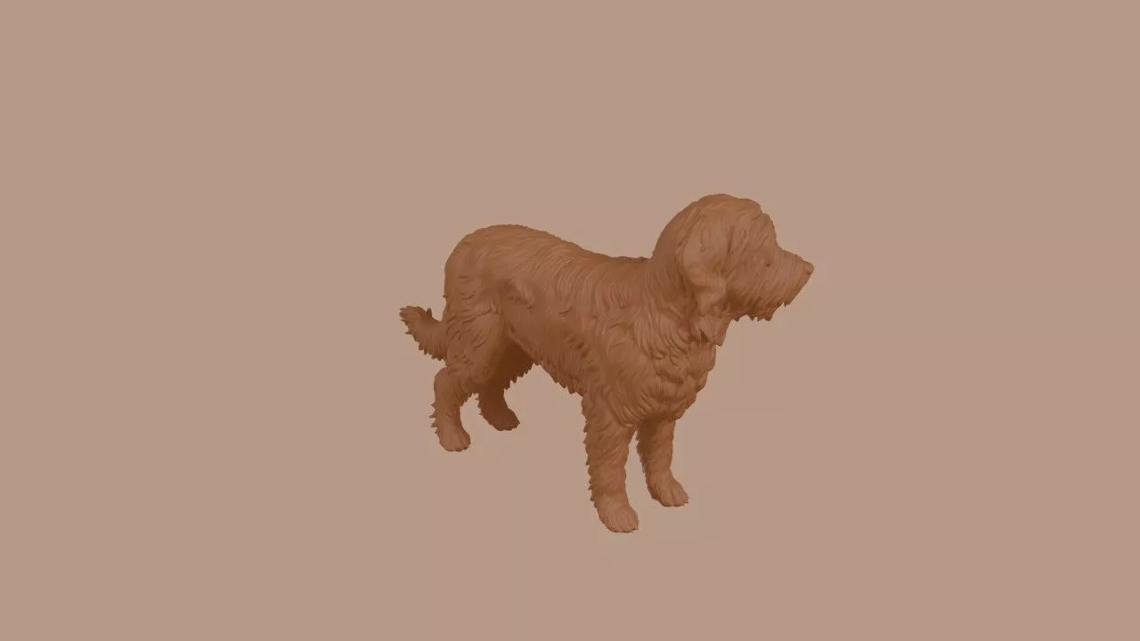 Briard dog 3D print model