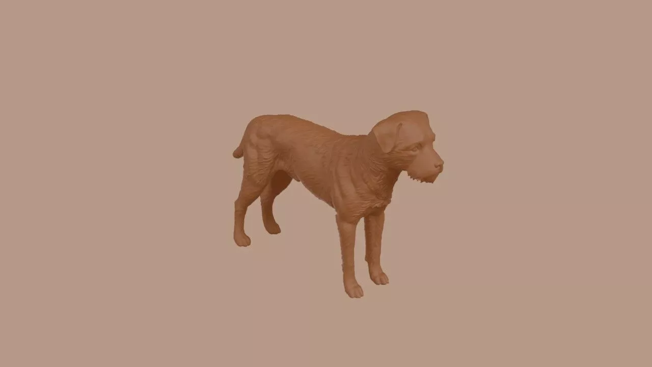 Border Terrier dog 3D print model