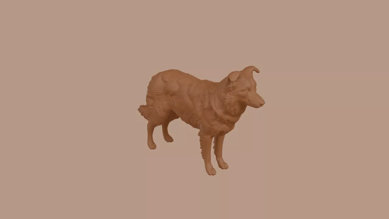 Border Collie dog 3D print model