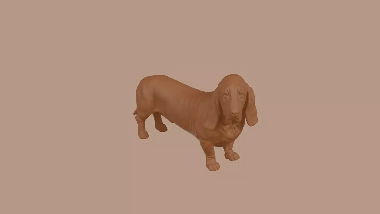 Basset Hound dog 3D print model