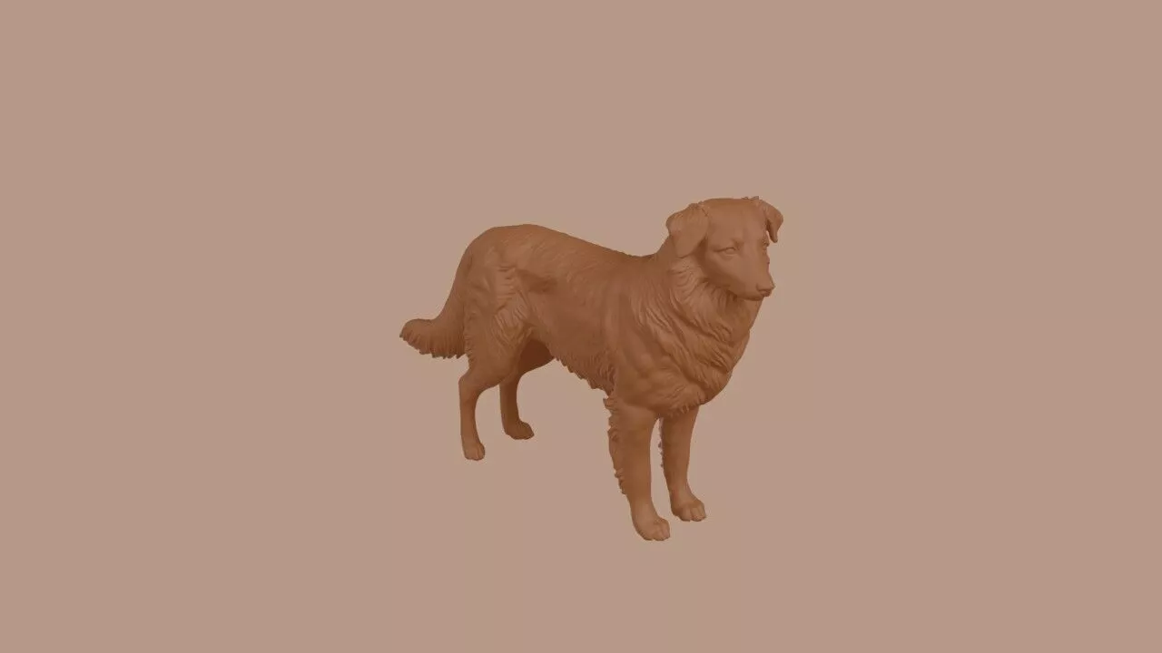 Australian Shepherd dog 3D print model