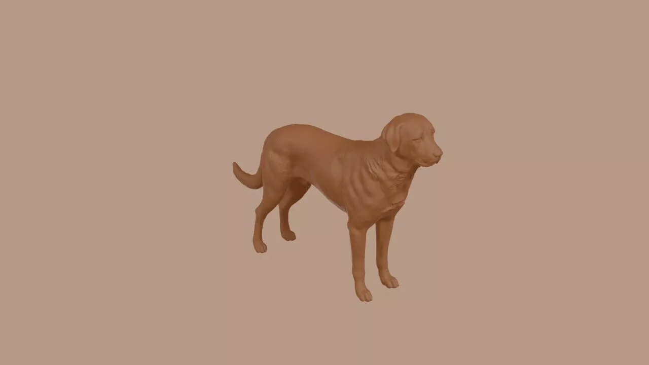 Anatolian Shepherd Dog dog 3D print model