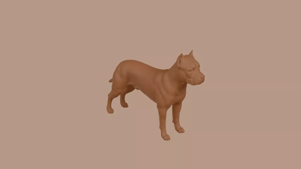 American Staffordshire Terrier dog 3D print model