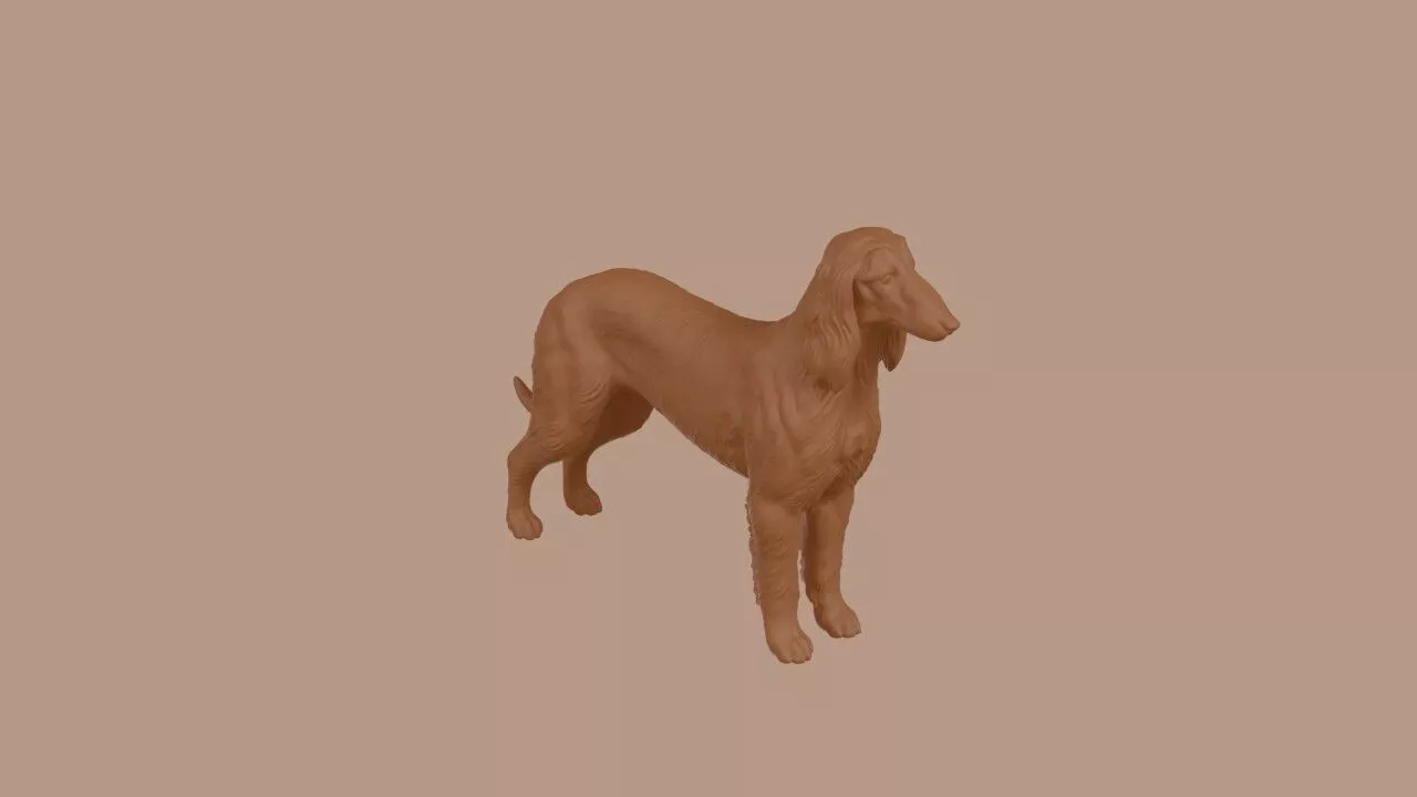 Afghan Hound dog 3D print model