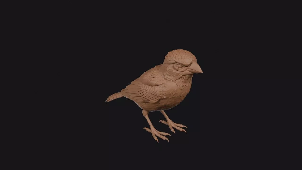 Weaver Bird 3D print model