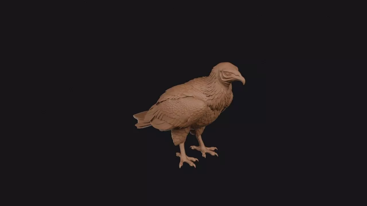 Vulture 3D print model